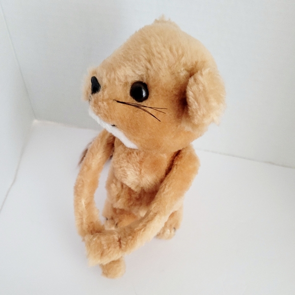 📌NA - Picture 8 of 12